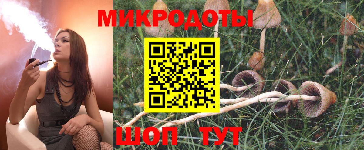Галлюциногенные грибы Psilocybine cubensis  Вход с VPN  Галлюциногенные грибы GOLDEN TEACHER  купить   Магадан 